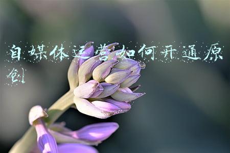 自媒体文章原创检测(亲测原创视频实验，竟然被扣20分！想要过原创，千万不要搬运了)