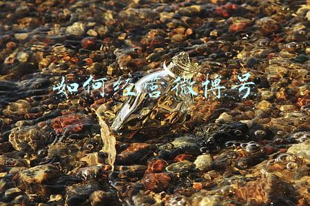 微博号怎么养 微博号怎么养权重