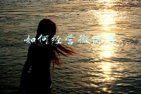 如何经营微博《如何经营微博账号》