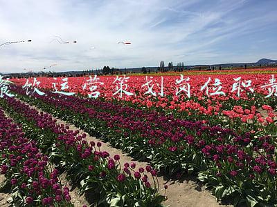 餐饮运营部岗位职责(占比八成的跨省业务将被喊停，融资租赁公司慌了)