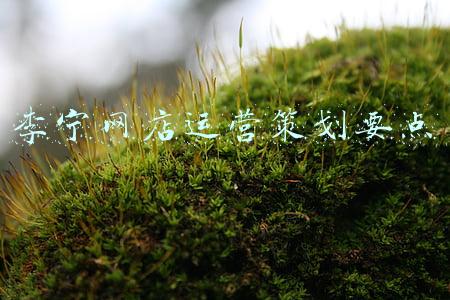 李宁网店运营策划要点