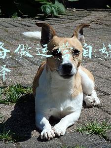 新媒体运营英文翻译(将新闻作品变成NFT，对媒体而言是一门好生意吗？)