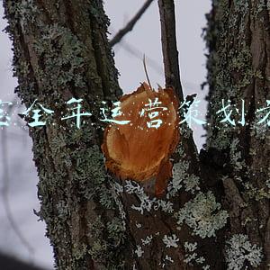淘宝全年运营策划方案