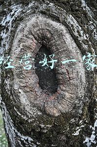 酒吧合作经营协议书；酒吧合作协议书范本