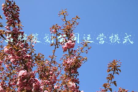 品牌策划公司运营模式