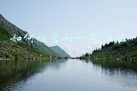 酒吧经营合同纠纷-酒吧经营合同