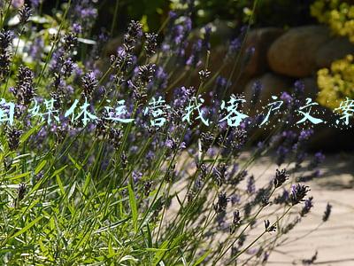 自媒体文案是做什么的(自媒体时代，文案、脚本、直播、短视频，写作的重要性)