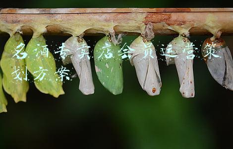 酒店会员制营销方案(酒店如何通过会员制吸引当地居民并提升收入？)