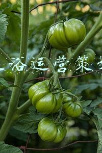 足浴会所营销策划方案(足浴门店营销策划方案第一章 共13章)