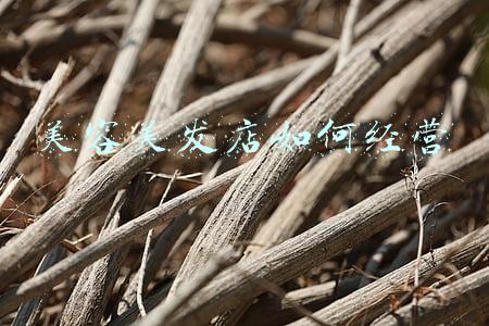 美发店运营《美发店运营管理方式》