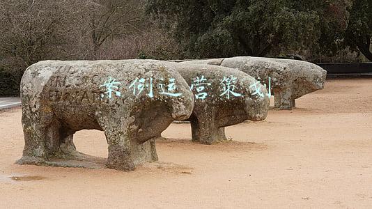 案例运营策划