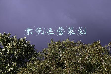 案例运营策划