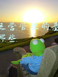 企业运营管理包括哪些管理(商业操盘手课程02：重新认识一家公司的运营和管理)