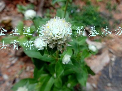 企业运营管理的基本方法有哪些