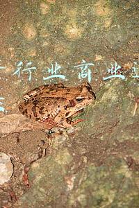 商业地产营销方案(「干货分享」房地产私域流量营销方案)
