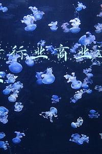 房地产行业商业运营策划方案