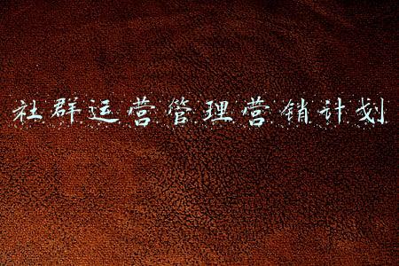 社群运营商业计划书(同学且慢，教你4步打造出完美的社群运营)