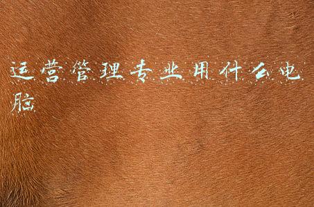 电脑运营是做什么(淘宝运营：做淘宝运营到底是做什么？你真的明白了吗？)