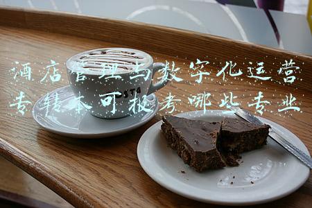 酒店管理与数字化运营专转本可报考哪些专业