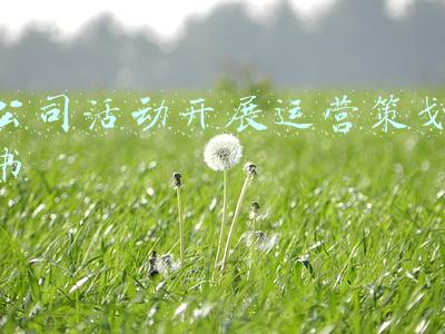 公司组织活动策划方案(企业年会怎么搞？高逼格公司策划方案，活动流程安排)
