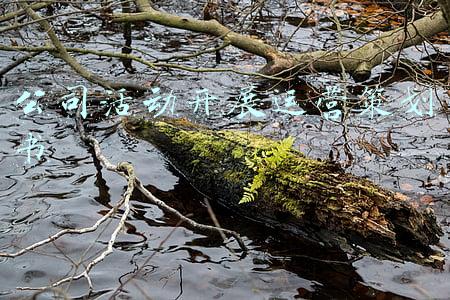 销售公司运营方案策划(大中型餐饮销售运营解决方案，请查收)