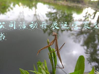 企业运营策划(企业私域流量运营方案b端社群运营增长方案运营推广计划怎么做)