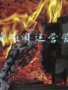 投资项目运营管理