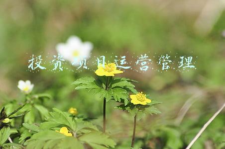 投资运营管理是做什么的(延安城投运营管理有限公司召开近期生产经营工作安排部署会)