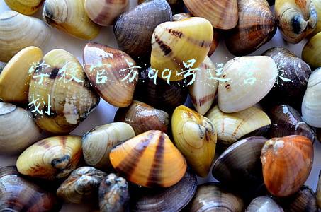 学校官方qq号运营策划