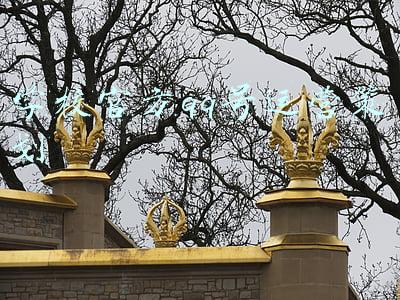 学校官方qq号运营策划