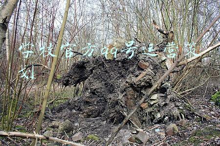 学校官方网(最新公布！浙江新增一所高校)