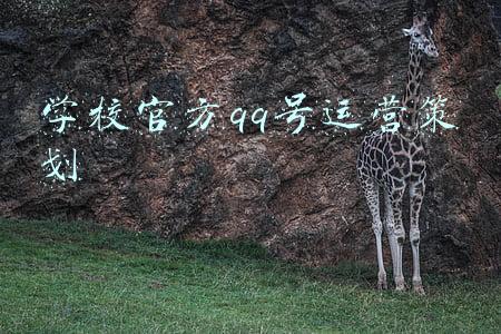 学校官方抖音号(用短视频传递青春正能量 本报官方抖音账号粉丝超2000万)