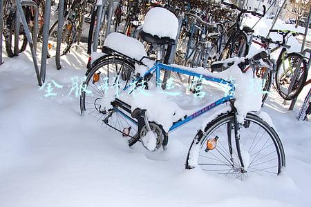 金服科技运营管理