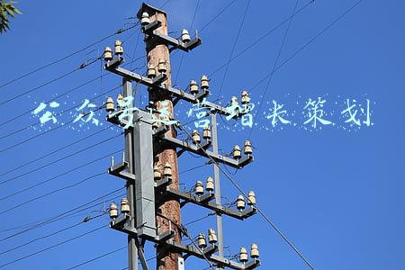 新年公众号运营方案(春节期间穗公共文化场馆开展百余场活动)