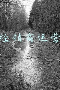 吉利水箱经销商(吉利汽车爬坡后水箱漏水)