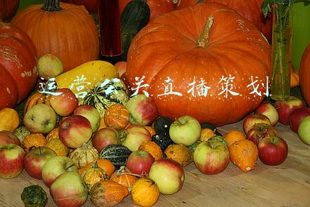 运营公关直播策划