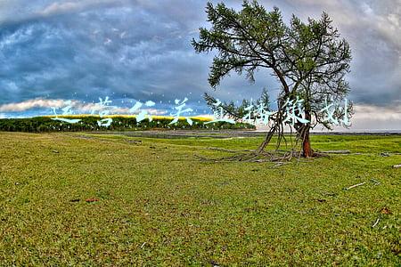 运营公关直播策划