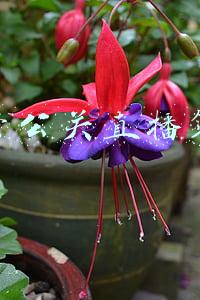 运营公关直播策划