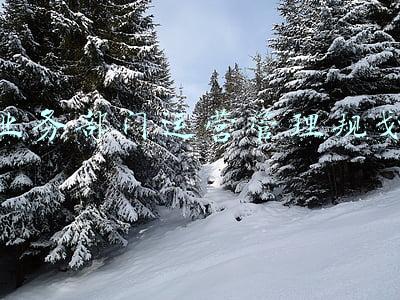 业务部门运营管理规划