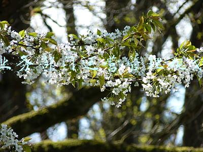 业务部门运营管理规划