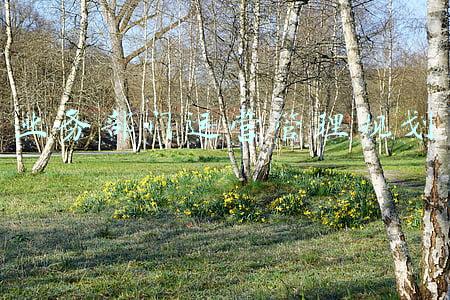 业务部门运营管理规划