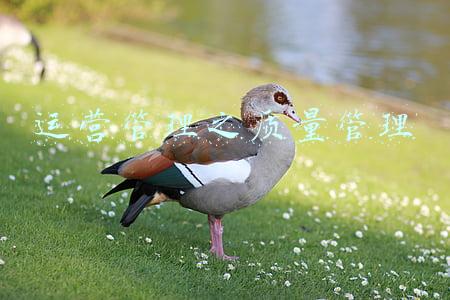 运营管理之质量管理