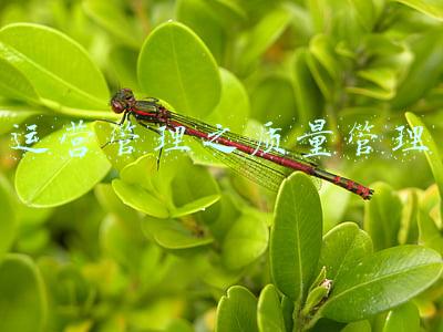 运营管理之质量管理