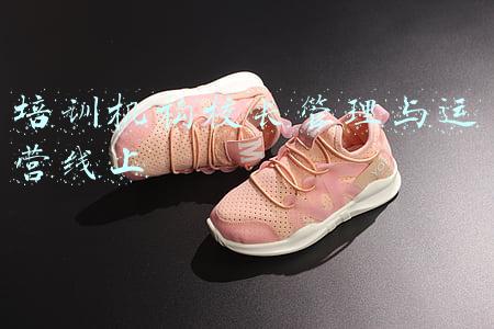 培训机构校长管理与运营线上