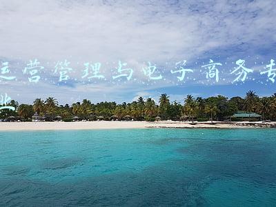 电子商务专业学什么(电子商务专业到底学什么？以后的就业方向是什么？)