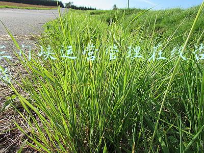 三门峡市医院咨询电话(三门峡人，有了这份通讯录，办事不发愁了)