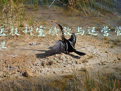 医技科室绩效与运营管理