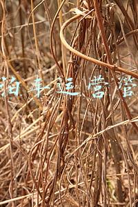 智慧泊车作用(关于保定智慧泊车，你有什么想说的？)