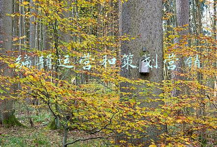 编辑策划是做什么的(策划人的这些好习惯，分享给你)