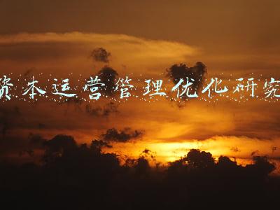 资本运营管理论文(现代企业管理有哪些自考课程)